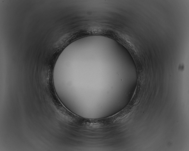 X0000089920645200707131412