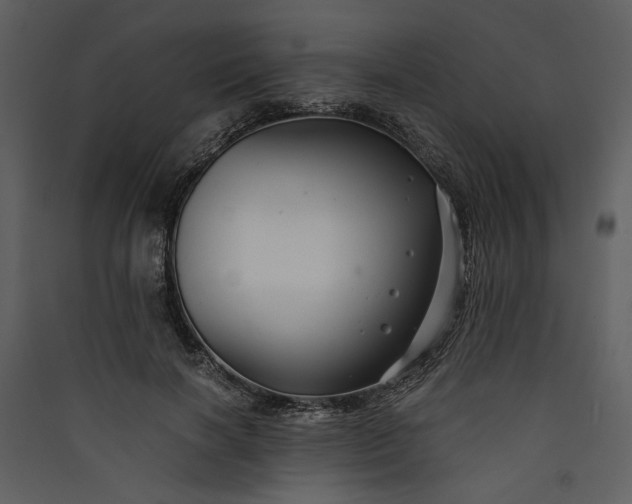 X0000089920646200707131412