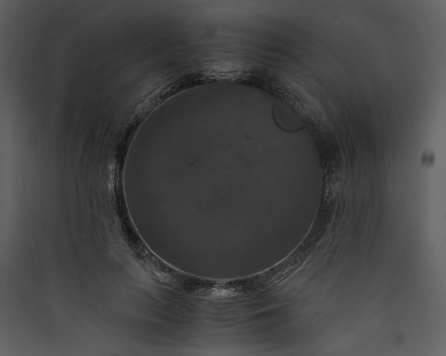 X0000089920647200707131412