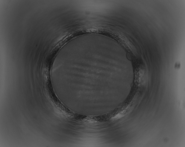 X0000089920648200707131412