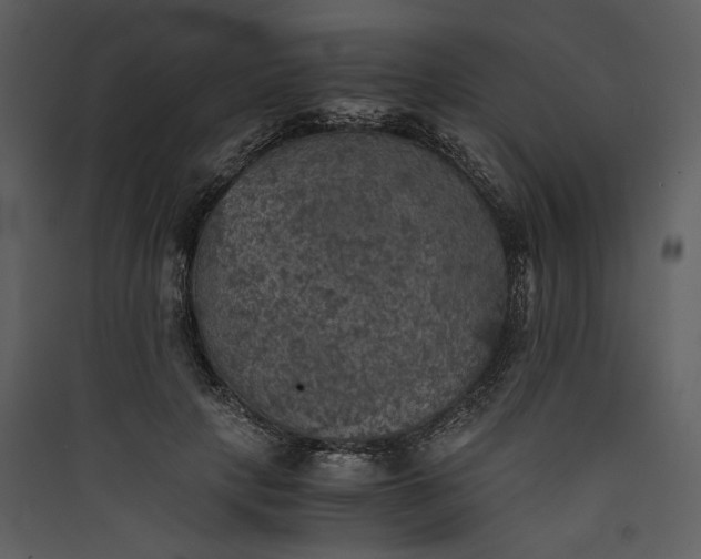 X0000089920649200707131412