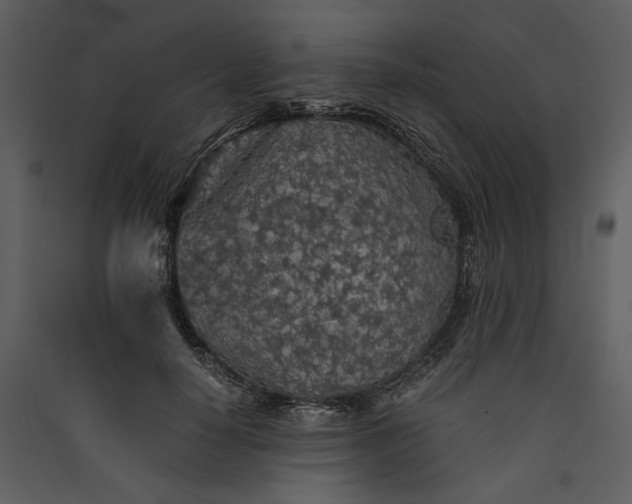 X0000089920650200707131412