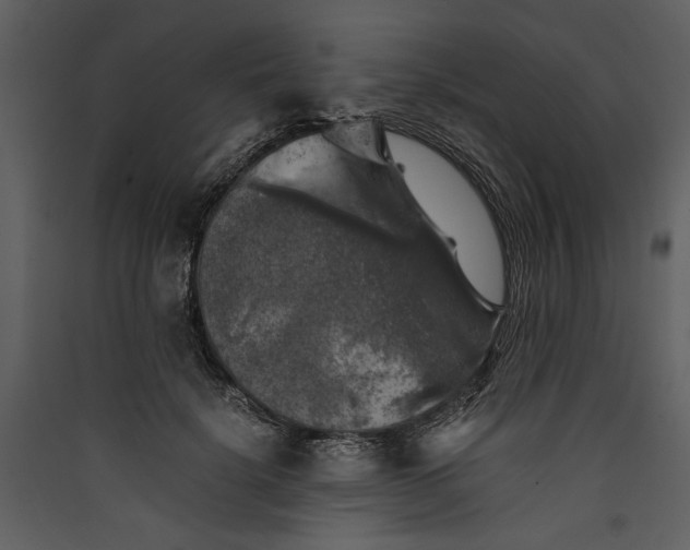 X0000089920652200707131412