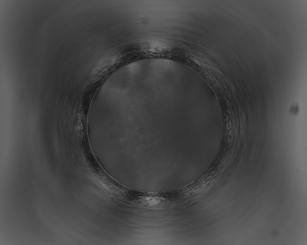 X0000089920654200707131412