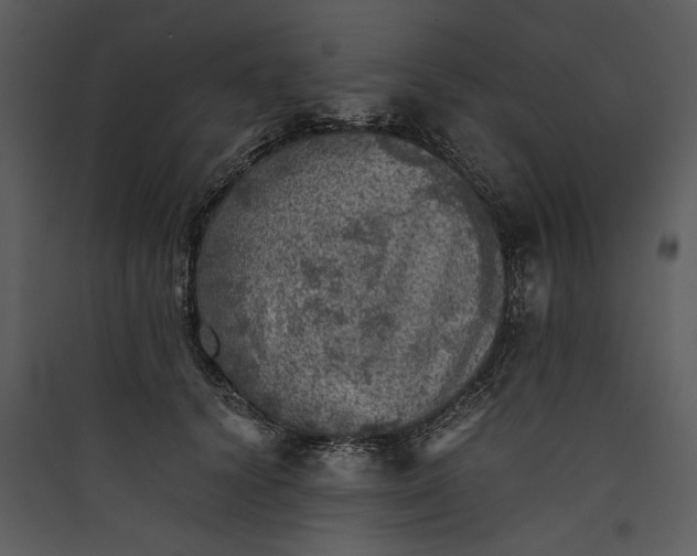 X0000089920656200707131412