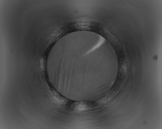 X0000089920658200707131412