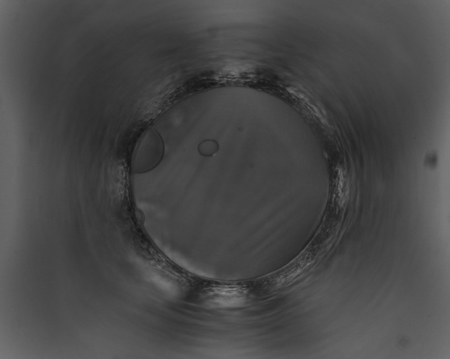 X0000089920659200707131412