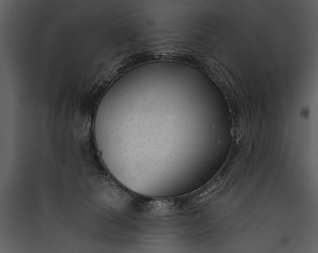 X0000089920660200707131412