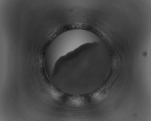 X0000089920661200707131412