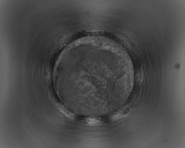 X0000089920662200707131412