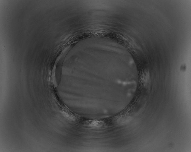 X0000089920663200707131412