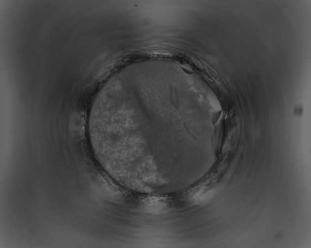 X0000089920664200707131412