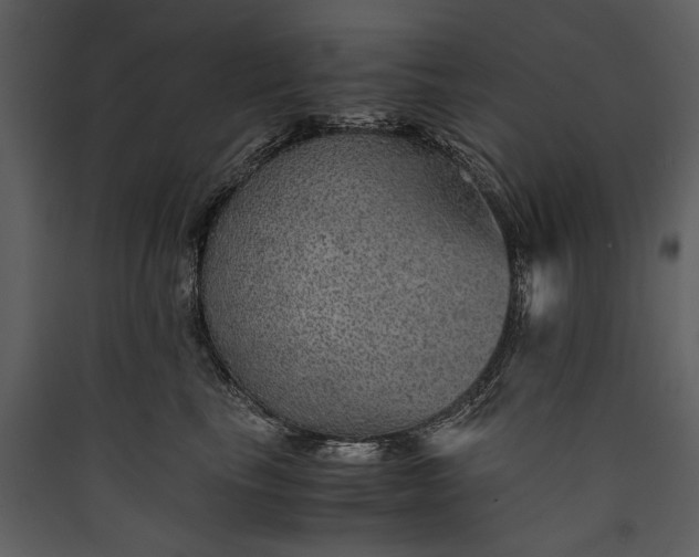 X0000089920665200707131412