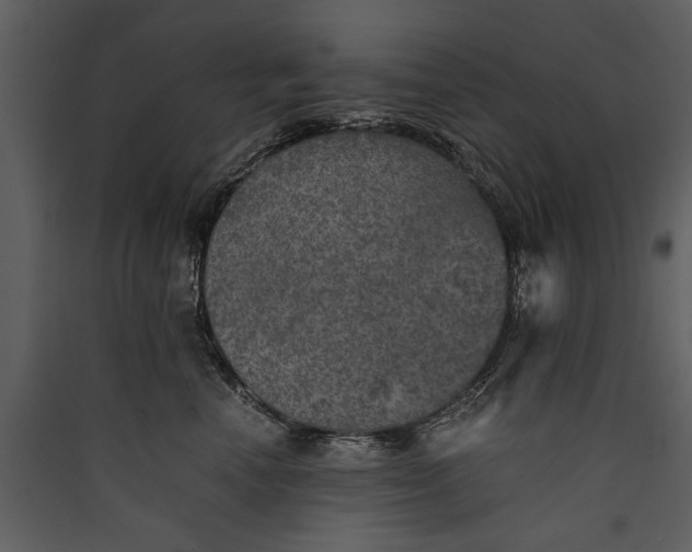 X0000089920666200707131412