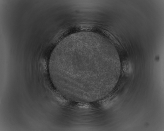 X0000089920667200707131412