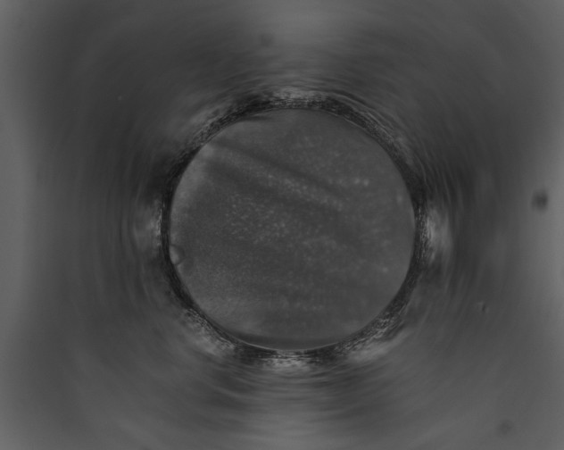 X0000089920668200707131412