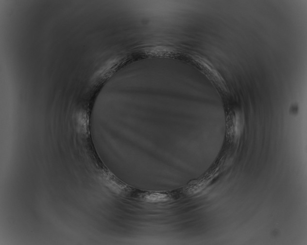 X0000089920669200707131412