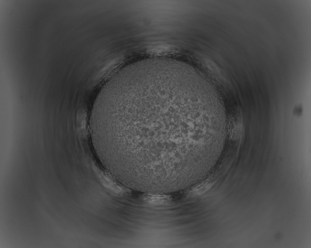 X0000089920670200707131412