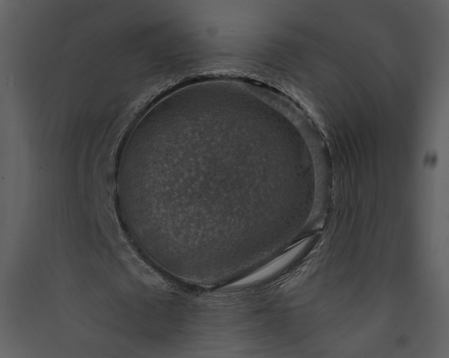 X0000089920673200707131411