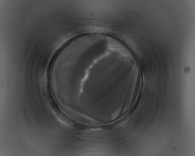 X0000089920674200707131411