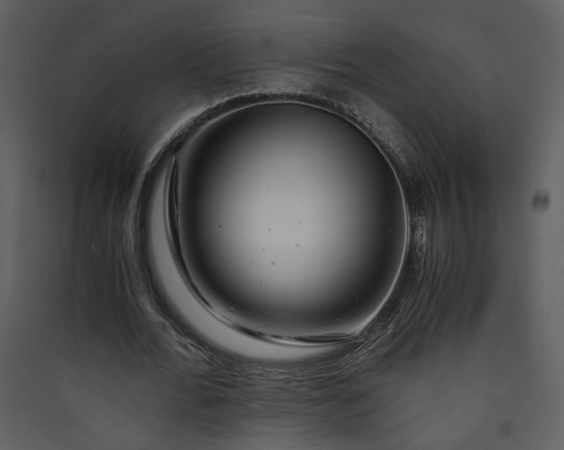 X0000089920676200707131411