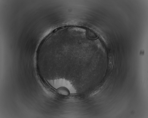 X0000089920678200707131411