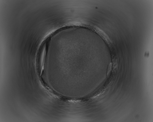 X0000089920680200707131411
