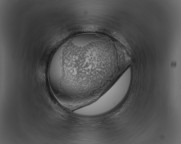 X0000089920681200707131411