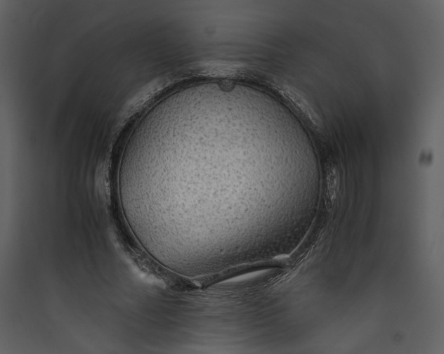 X0000089920682200707131411