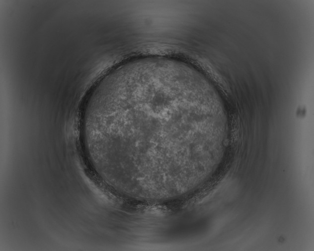 X0000089920683200707131411