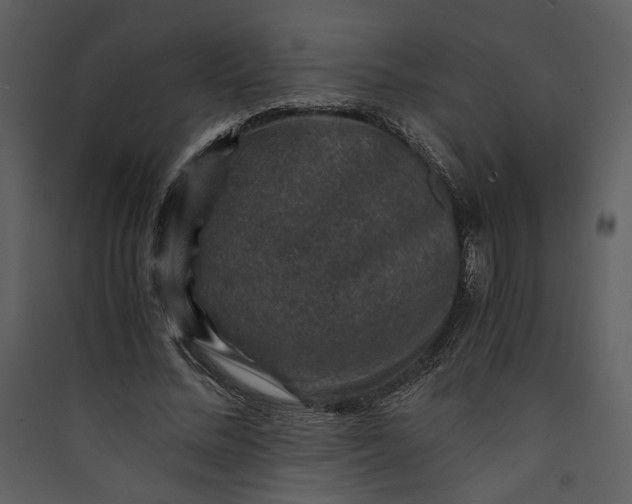 X0000089920684200707131411