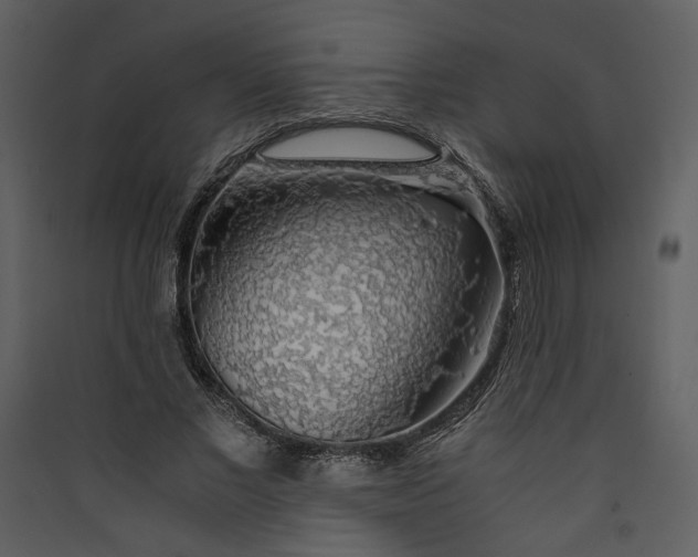 X0000089920685200707131411