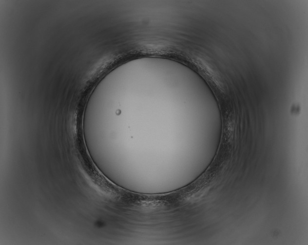 X0000089920686200707131411