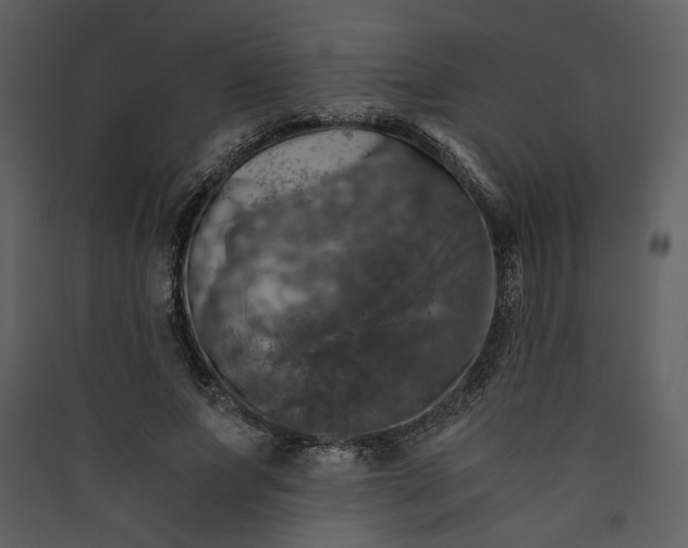 X0000089920687200707131411