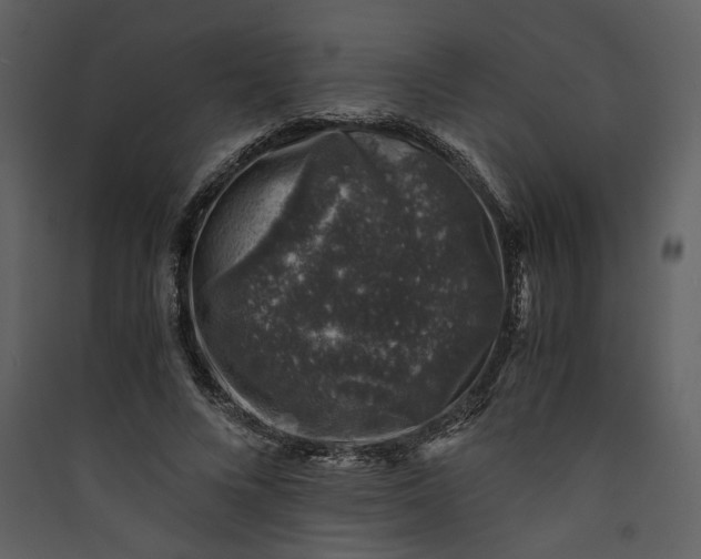 X0000089920688200707131411