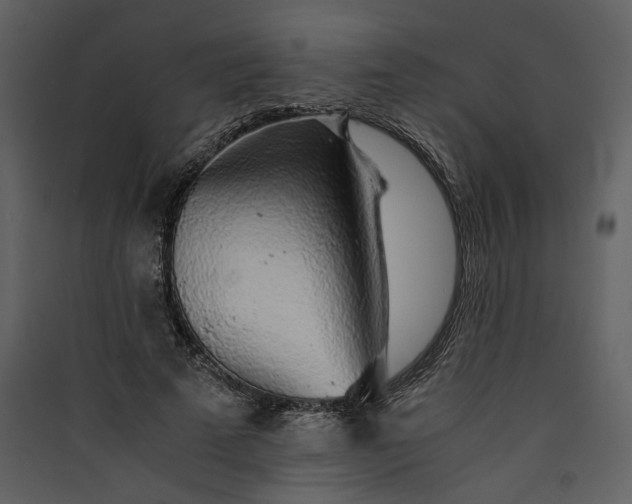 X0000089920689200707131411