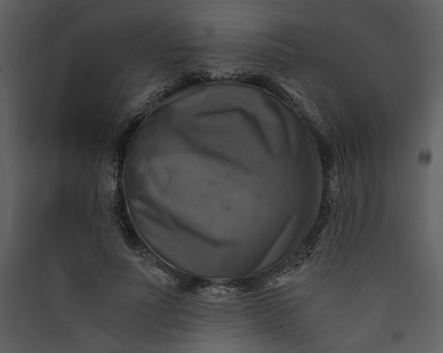 X0000089920691200707131411