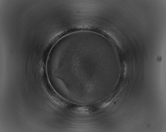 X0000089920692200707131411