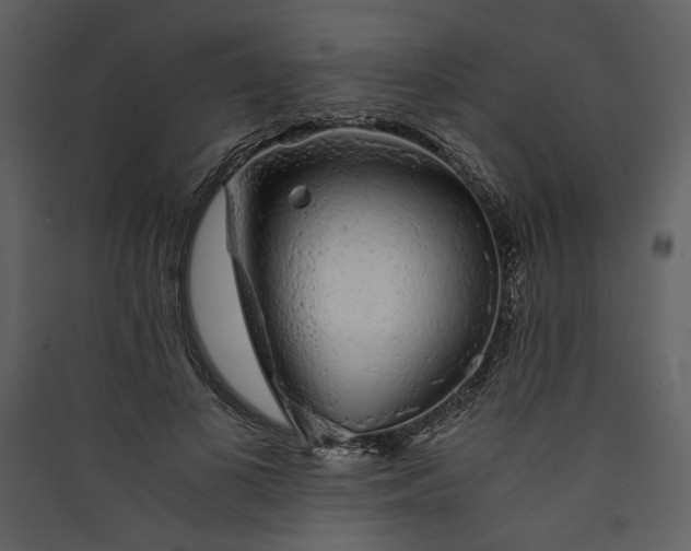 X0000089920693200707131411