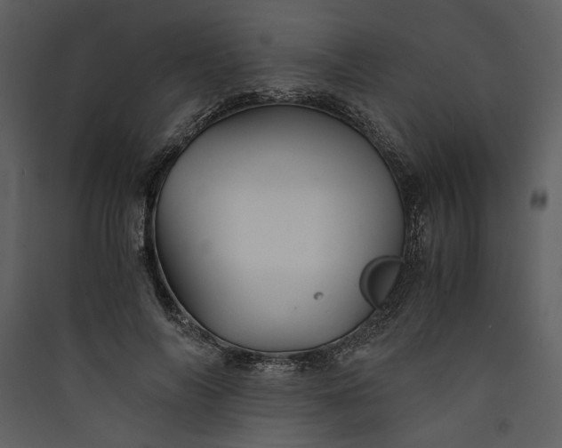 X0000089920694200707131411