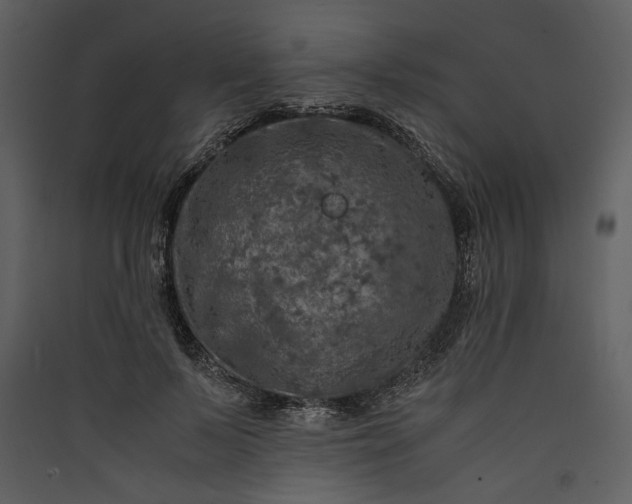 X0000089920695200707131411