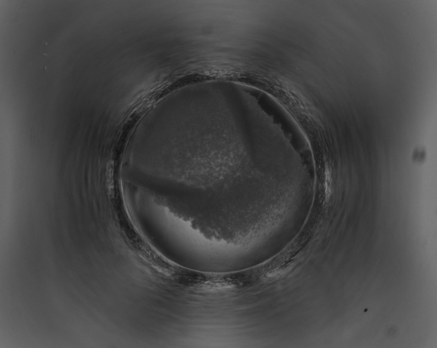 X0000089920696200707131411