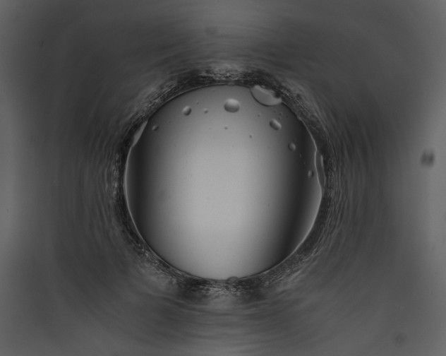 X0000089920697200707131411