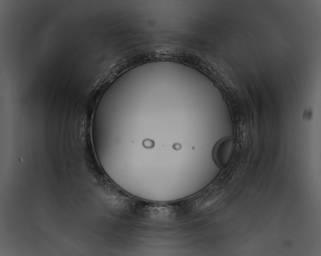 X0000089920698200707131411