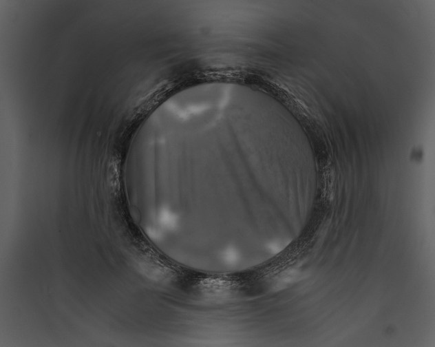 X0000089920699200707131411