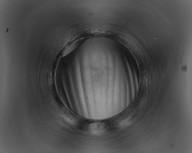 X0000089920700200707131411