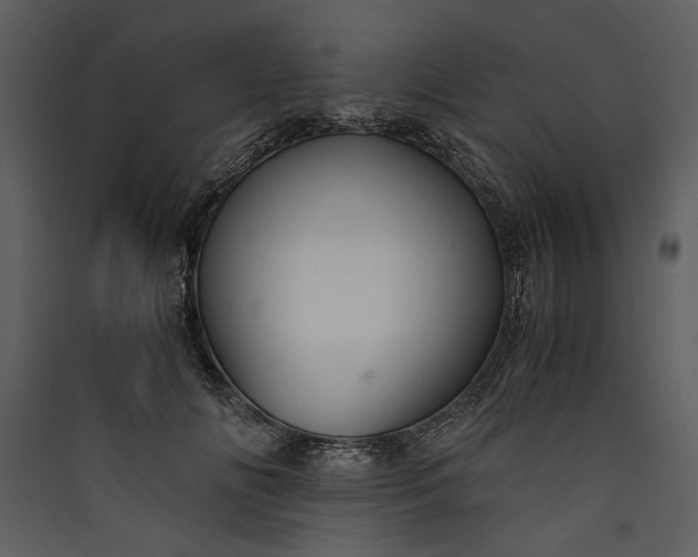 X0000089920702200707131411