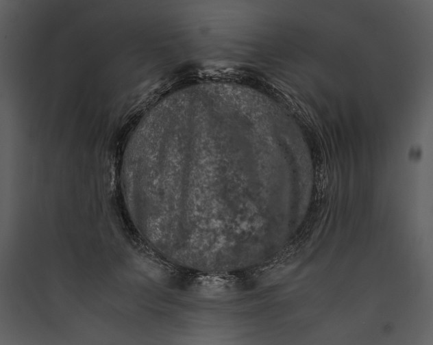 X0000089920703200707131411