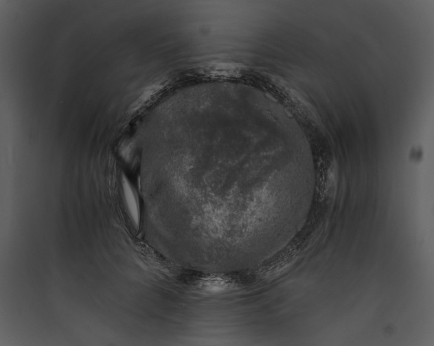 X0000089920704200707131411