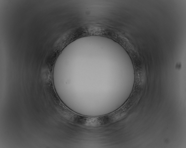 X0000089920705200707131411